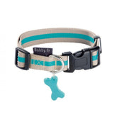 Bobby Collar